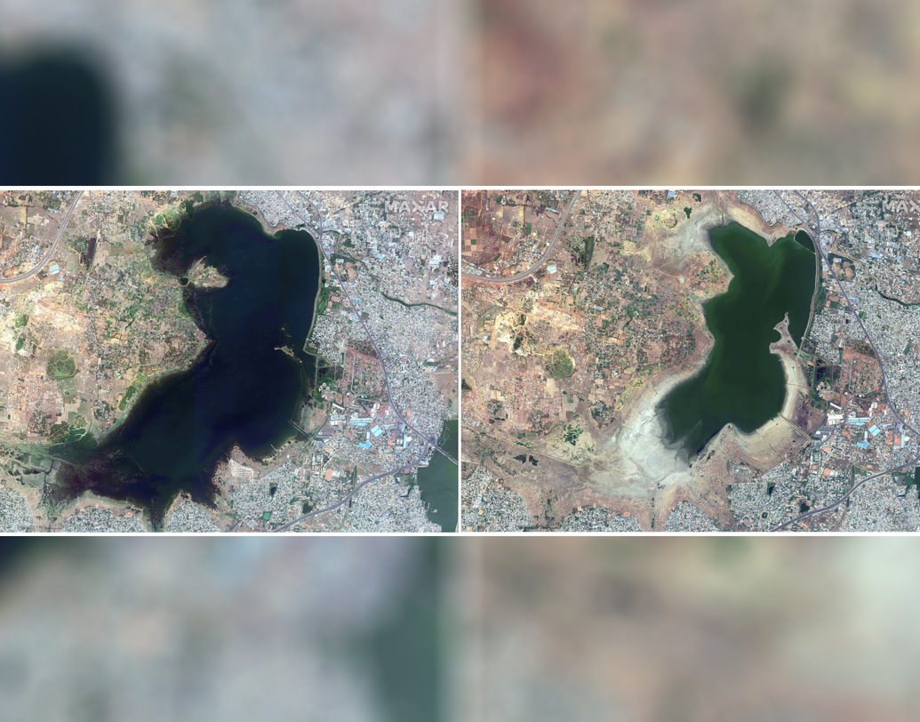 ভূগর্ভস্থ জল হ্রাসের আরেক কারণ ব্যাপক হারে বৃক্ষছেদন। চেন্নাইয়ের অলাভজনক সংস্থা 'কেয়ার আর্থ ট্রাস্ট' এর থেকে পাওয়া তথ্য অনুযায়ী ব্যাপক হারে শিল্পায়ন এবং শহরায়নের ফলে চেন্নাইয়ের বৃষ্টির জল সংরক্ষণ করার একমাত্র প্রাকৃতিক জলাভূমি পাল্লিকারানাইয়ের আয়তন বর্তমানে ৫৯৩ হেক্টরে এসে দাঁড়িয়েছে যা ১৯০০ সালে ছিল ৬০০০ হেক্টরের কাছাকাছি।