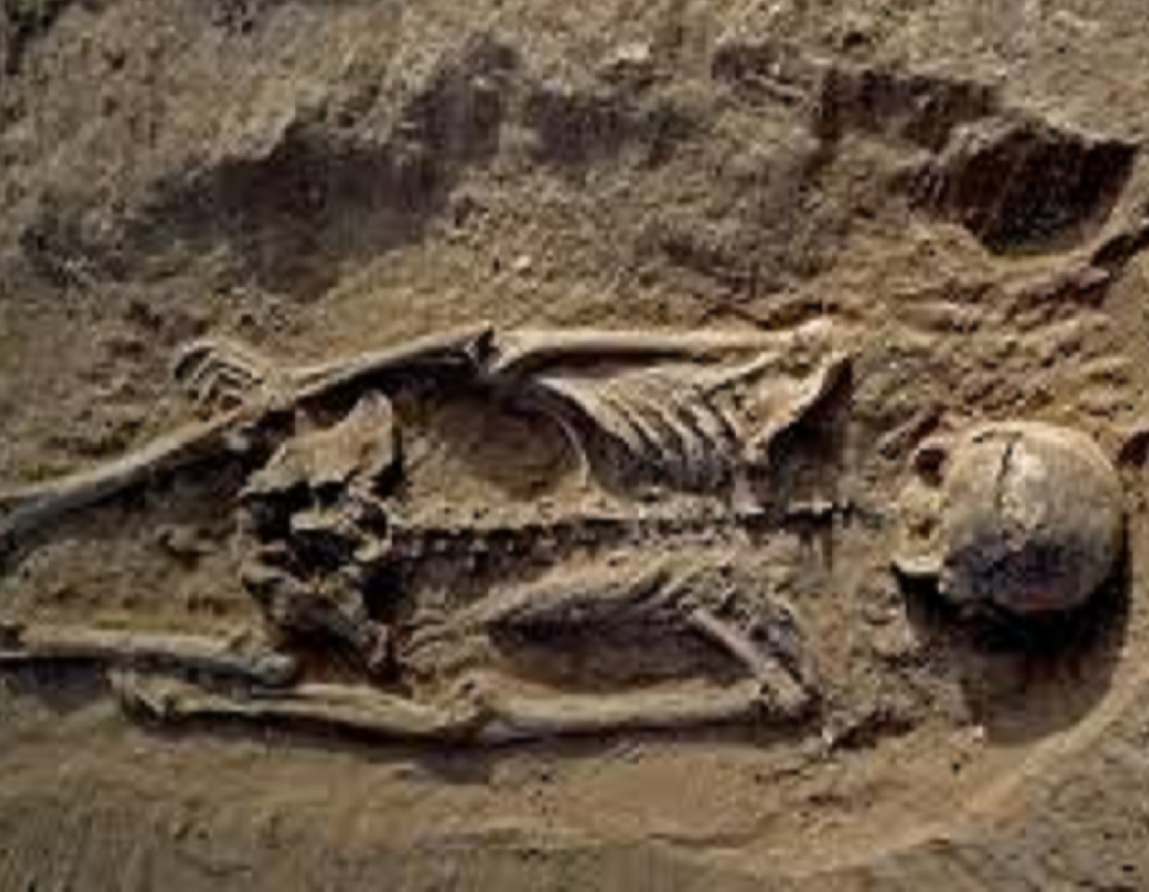 ইতিহাসবিদরা জানাচ্ছেন, পৃথিবীর অন্যতম প্রাচীন এই সভ্যতার সমাপ্তি হয়েছিল খুব নির্মম ভাবে। কী এমন ঘটেছিল সেখানে?