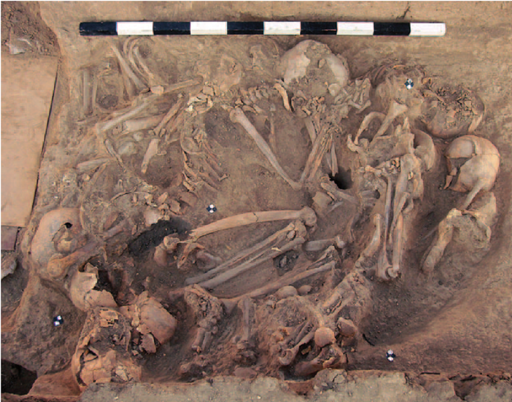 প্রত্নতাত্ত্বিকেরা জানিয়েছেন, প্রায় ৭৪২ জন মৃতের কঙ্কাল উদ্ধার হয়েছে সেখান থেকে যাদের মধ্যে অধিকাংশই মহিলা।