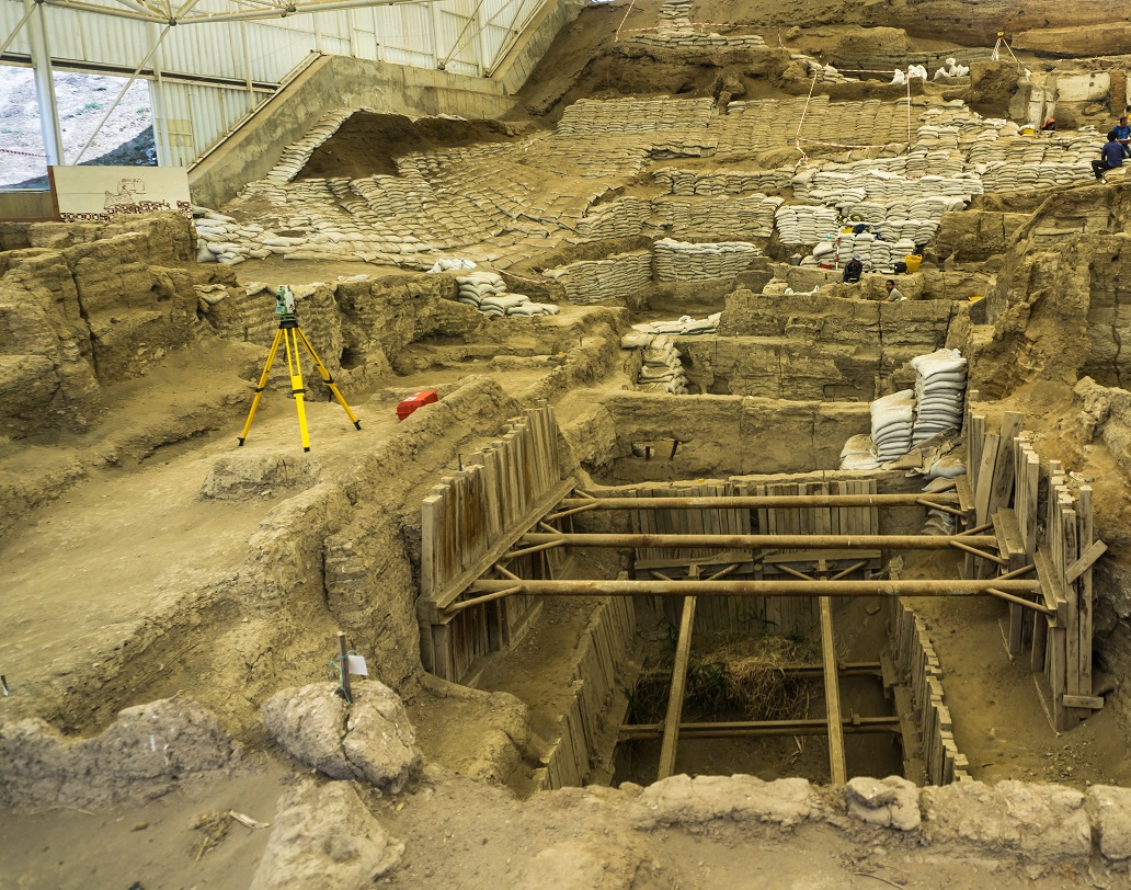 অস্বাস্থ্যকর পরিবেশে দিনের পর দিন থাকার ফলে জীবাণু জনিত রোগের আশঙ্কাও উড়িয়ে দিচ্ছেন না গবেষকদের একাংশ। উদ্ধার হওয়া অক্ষত দাঁতগুলিতে গভীর ক্ষত দেখেই এমন অনুমান। পাশাপাশি থাকার ফলে রোগ দ্রুত ছড়িয়ে পড়ার আশঙ্কাও করেছেন তাঁরা।
