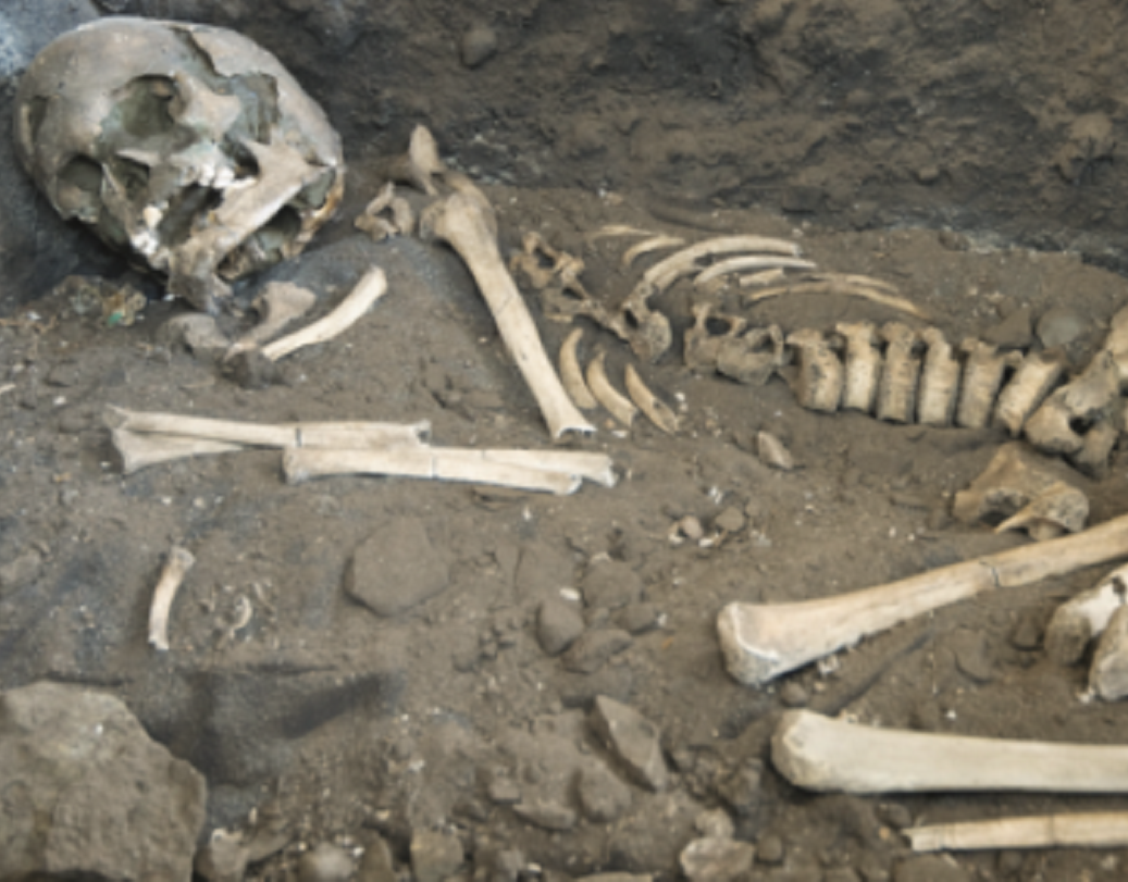 তবে বেশির ভাগের মতে, অস্তিত্ব রক্ষার এক অদম্য ইচ্ছাতেই শেষ হয়ে গিয়েছিলেন তাঁরা। গবেষণার স্থান থেকে পাওয়া খুলিগুলোতে বারংবার আঘাতের চিহ্নই তার সবচেয়ে বড় প্রমাণ।