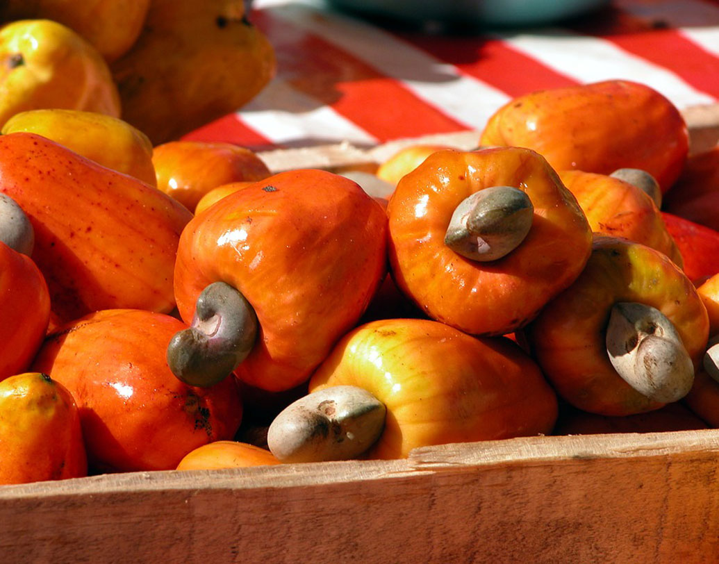 ড্রাই ফ্রুট হিসাবে কাজুবাদামের জুড়ি মেলা ভার। তবে খোলা ছাড়িয়ে কাঁচা কাজুবাদাম খেতে যাবেন না যেন। তাতে অ্যালার্জি হতে পারে। আসলে, কাঁচা কাজুবাদামের খোলায় থাকে অ্যানাকার্ডিক অ্যাসিডের মতো রাসায়নিক। খোলা ছাড়ানোর সময় তা কাঁচা কাজুবাদামে মিশে যায়। সঠিক তাপমাত্রায় রোস্ট না করলে তা কাজুর গা লেগে থাকবে।