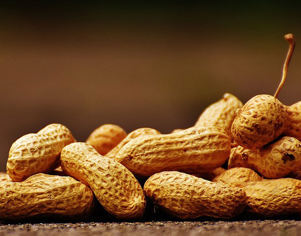 ময়দানে ঘোরাফেরার ফাঁকে চিনেবাদাম ভাজা কিনে তো অনেকেই খান। তবে তা-ও কিন্তু ভয়ের কারণ হতে পারে। অবশ্যই যাঁদের ফু়ড অ্যালার্জি রয়েছে, তাঁদের জন্য এই সতর্কবার্তা। চিনেবাদাম খেয়ে ফুড অ্যালার্জি হয়ে মৃত্যু পর্যন্ত ঘটেছে অনেকের।