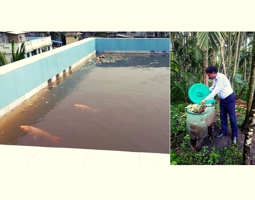 অসমের হাতিগাঁও এলাকার বাসিন্দা অমরজ্যোতি নিজের দোতলা বাড়ির ছাদের একাংশ জুড়ে তৈরি করেছেন জলাশয়। মাস খানেক ধরে সেখানেই চলছে মাছের চাষ।