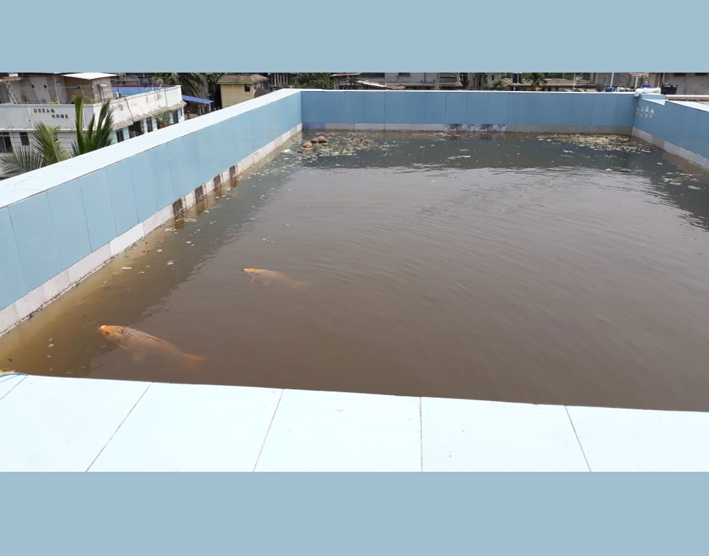 অমরজ্যোতি জানিয়েছেন, মাত্র ৫০ হাজার টাকা খরচ করলেই এমন একটা আস্ত জলাশয়ের মালিক হতে পারেন যে কেউ। মাছ চাষ করে তা থেকে অতিরিক্ত আয়ও করতে পারেন শহুরে চাষিরা। কী করে? ওই জলাশয় থেকে মাছ ধরে খেতে পারেন বা চাইলে তা বাজারে বিক্রিও করতে পারেন।