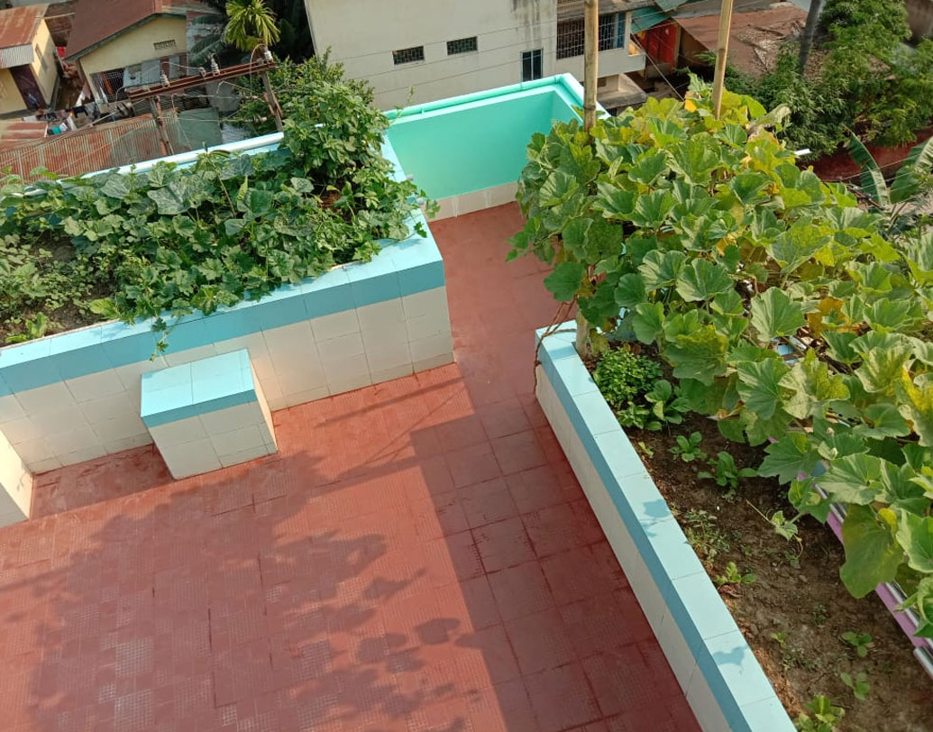 অমরজ্যোতি জানিয়েছেন, তাঁর বাড়িতে ৪ হাজার বর্গফুট এলাকা জুড়ে রয়েছে ছাদ। তাতে আয়েশ করার জায়গা ছাড়াও হাজার বর্গফুটে রয়েছে জলাশয়। আরও হাজার বর্গফুট জুড়ে রয়েছে অর্গ্যানিক কিচেন গার্ডেন। সেখানে মরসুমি ঢেঁড়শ, বেগুন, ফুলকপি, বাঁধাকপির মতো শাক-সব্জির ফলন হয়।