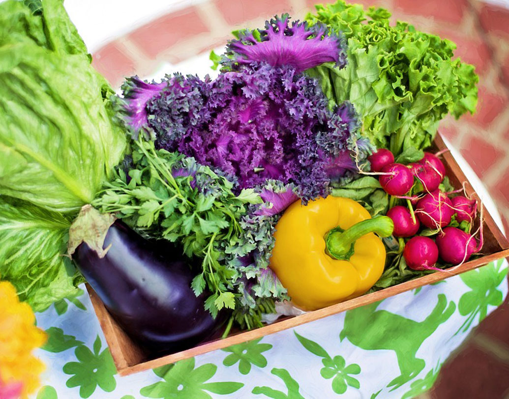 গ্রিন টি ছাড়া আর কিছুই বিক্রি করেন না অমরজ্যোতি। তিনি জানিয়েছেন, ছাদের বাগান থেকে যা ফলন হয়, তা নিজেদের খাওয়াদাওয়ার পর বন্ধুবান্ধব-পড়শিদের মধ্যে তা বিলিয়ে দেন।