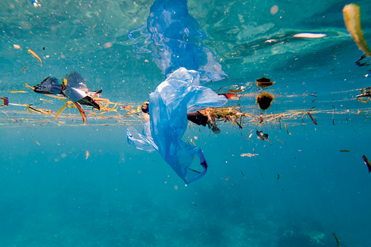 Plastics in Ocean creating a disaster for us