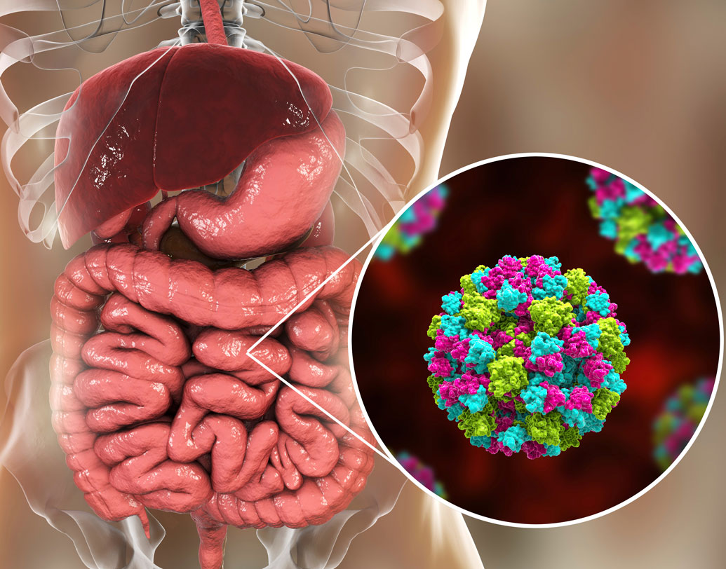 ডায়েরিয়া মূলত জলবাহিত ব্যাকটিরিয়া থেকে ছড়ায়। শরীরের জল বেরিয়ে যায় বলে এই অসুখ খুবই দুর্বল করে তোলে। দরকারে স্যালাইন দেওয়ারও প্রয়োজন পড়ে। বিশেষ করে কাঠফাটা রোদে জলও খাওয়ায় নজর না দিলে এই অসুখের শিকার হতে পারেন আপনিও। তবে এই অসুখ থেকে দূরে থাকতে কতগুলো নিয়ম মানতেই হবে। জানেন সে সব?