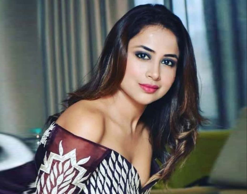 এরপর পুণেতে রেডিও জকি হিসেবে কাজ শুরু করেন রিধিমা। সেখান থেকেই তাঁর কেরিয়ার জগতের হাতেখড়ি। স্ক্রিপ্ট লেখা, সেলেবদের সাক্ষাৎকার নেওয়া সবই করতে হত তাঁকে।