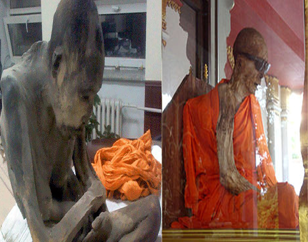 প্রাচীন তিব্বতি বৌদ্ধ লামাদের আরও মমি আছে। লাদাখ, স্পিতি ছাড়াও কালিম্পং ও দেহরাদূনের বৌদ্ধ মঠে তাঁদের মমি সংরক্ষিত আছে। অনুমান, তিব্বত থেকে পালিয়ে ভারতে চলে এসেছিলেন তাঁরা।