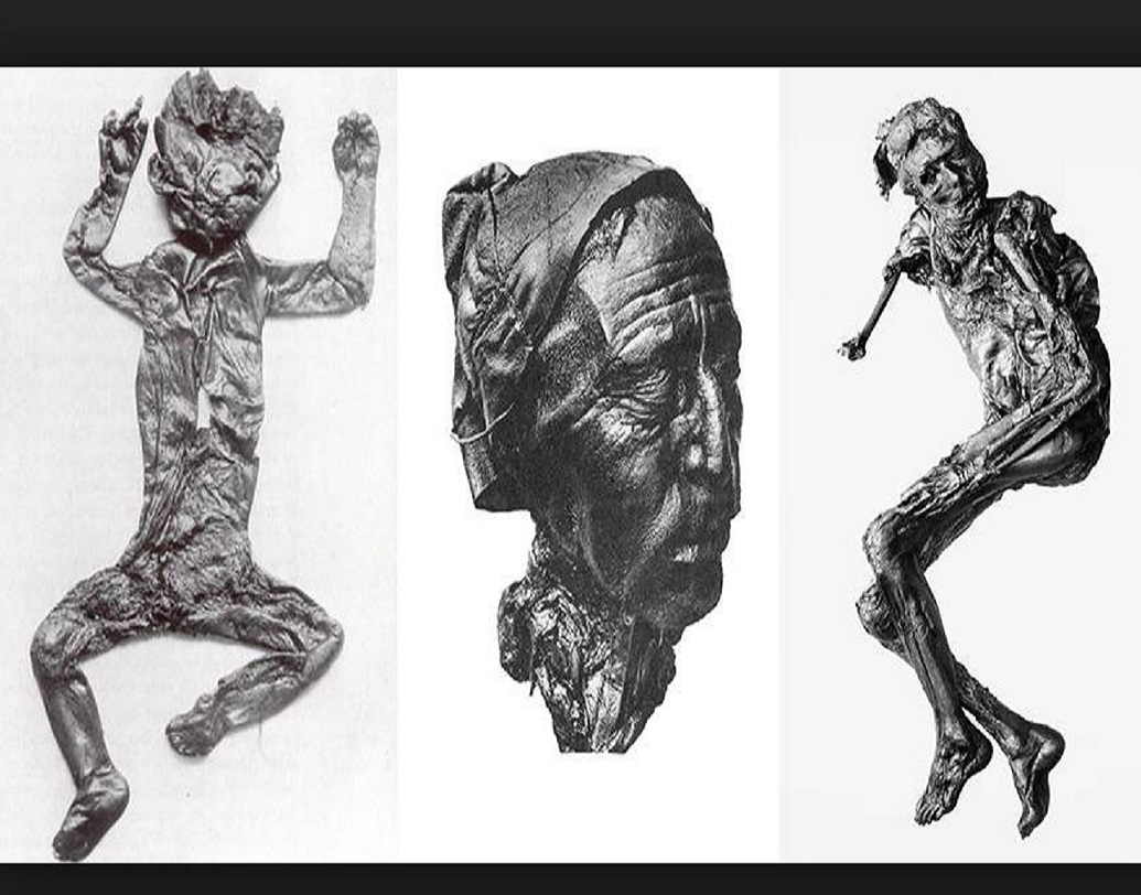 কী এই বগ বডি? এই নিয়ে রয়েছে অনেক জল্পনা। সাধারণত এই মৃতদেহগুলি পিট বগের মধ্যে অক্সিজেন এবং পিট শৈবালের অ্যান্টিব্যাকটেরিয়াল উপাদানের অভাবে এই অবস্থায় পরিণত হয়েছে।