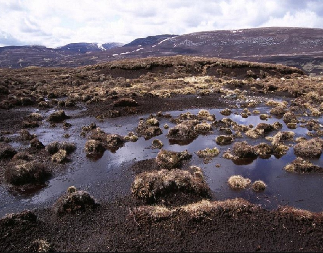 কী এই পিট বগ? পিট বগ হল একটি জলাশয়, যেখানে জলের সঙ্গে মাটির সরাসরি সংযোগ থাকে, অর্থাৎ মাটির ঠিক নীচে জলের অবস্থান হতে হবে। কিন্তু এই জলে খনিজের পরিমাণ অনেক বেশি থাকে। অক্সিজেন কম থাকায় এই আবহাওয়া মৃতদেহগুলিকে পচতে দেয় না।