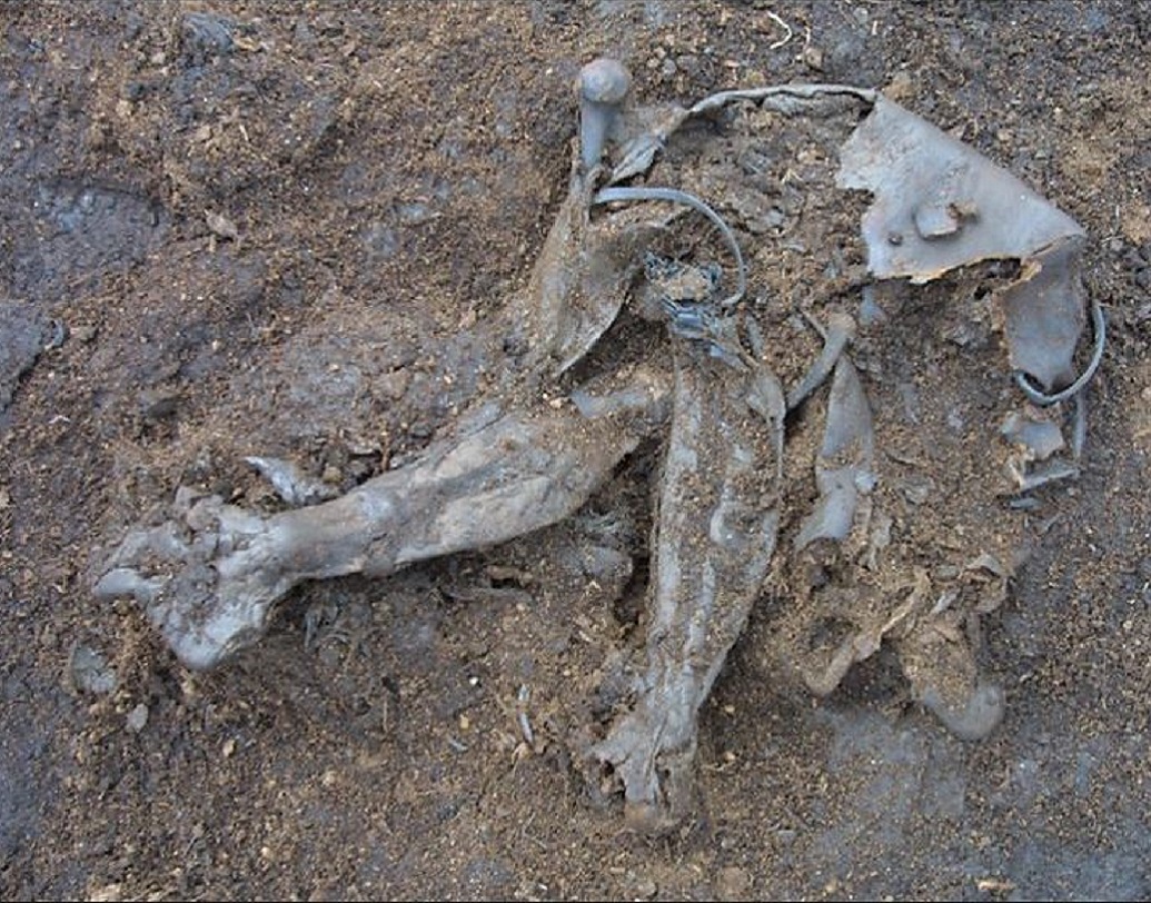 এ ছাড়া প্রথম মাংসল বগ বডি ছিল ব্রোঞ্জ যুগের ক্যাসেল ম্যানের।