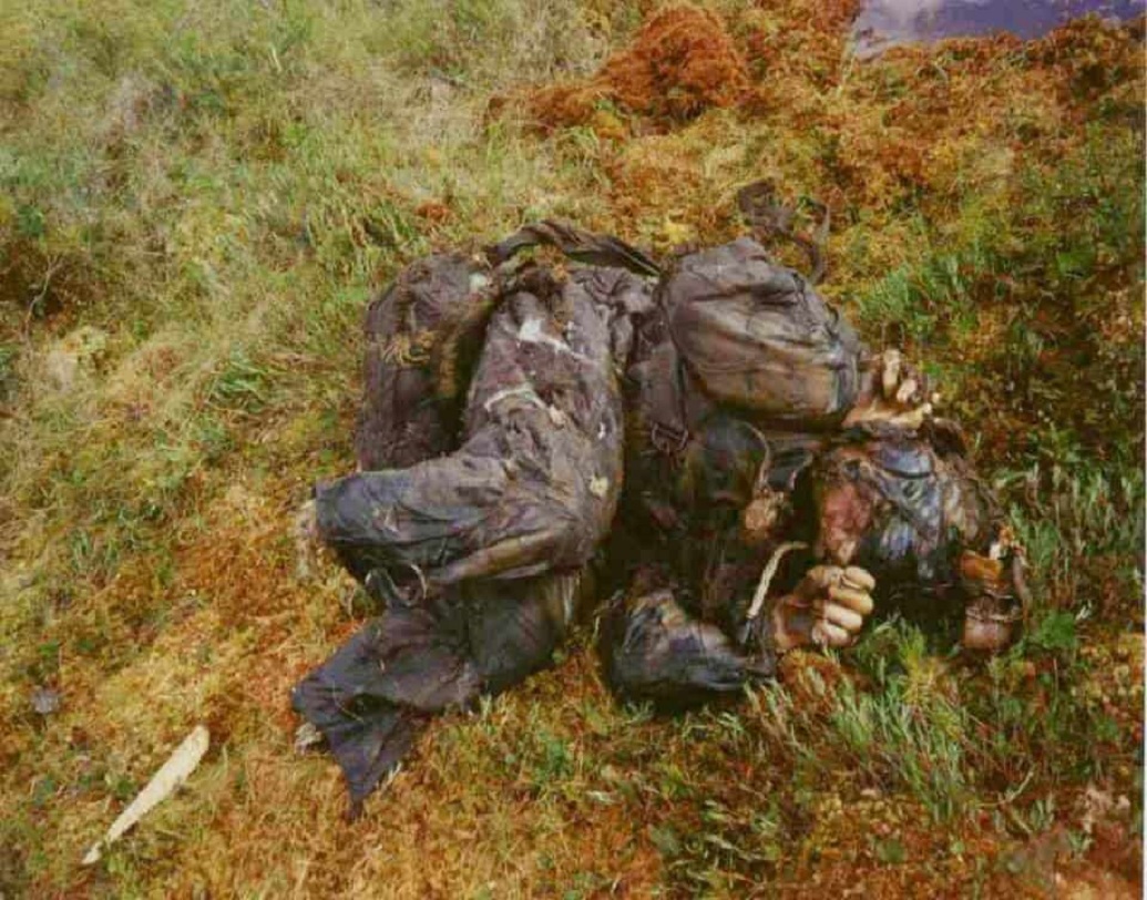 সর্বশেষ আবিষ্কৃত বগ বডির খোঁজ মেলে দ্বিতীয় বিশ্বযুদ্ধের সময়কার সৈনিকদের, যাঁরা রাশিয়ার যুদ্ধে মারা যান।