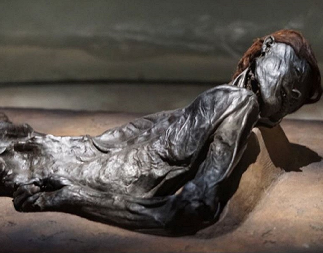 পরবর্তী কালে এই বগ বডিস নিয়ে প্রচুর পরীক্ষার পর জানা গিয়েছে, বেশির ভাগ ক্ষেত্রেই খুন অথবা নৃশংস হত্যার শিকার হয়েছিল এরা।