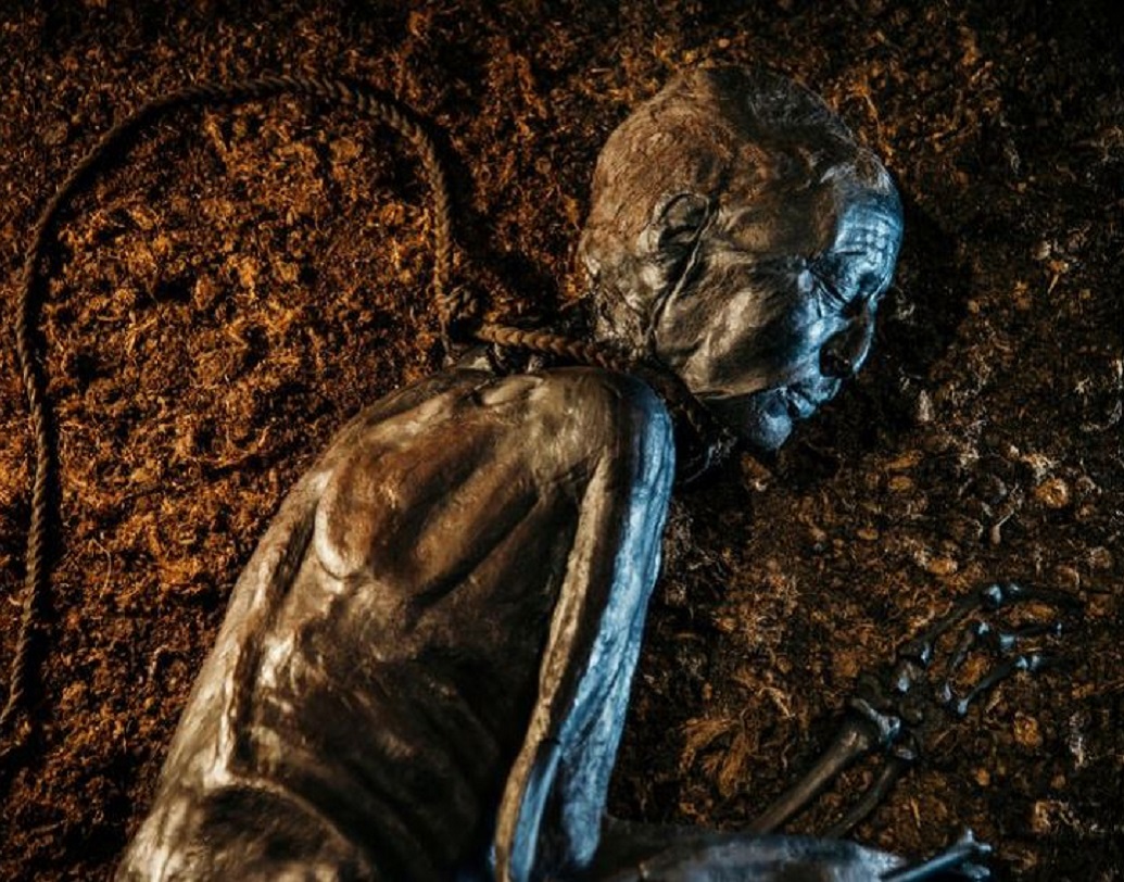 এই বগ বডিগুলির বেশির ভাগই মিলেছে গলায় দড়ি জড়ানো অবস্থায়। বিভিন্ন আঘাতের চিহ্ন রয়েছে গোটা শরীরে।