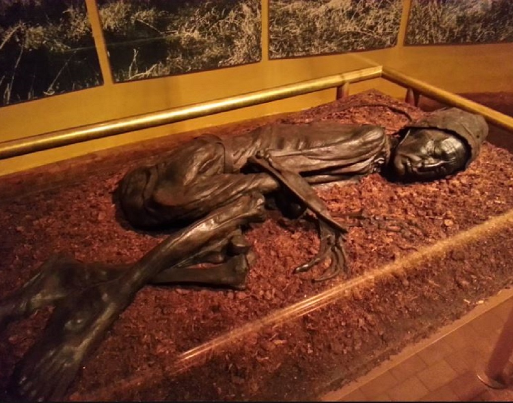 এমনই কিছু বগ বডিকে পৃথিবীর বিভিন্ন সংগ্রহশালায় রাখা হয়েছে এবং তাদের নিয়ে নানা পরীক্ষাও চলছে। চেষ্টা করা হচ্ছে এদের ডিএনএ ব্যবহার করে নানা পরীক্ষা করার। তবে তা সম্ভব হয়ে ওঠেনি এখনও।