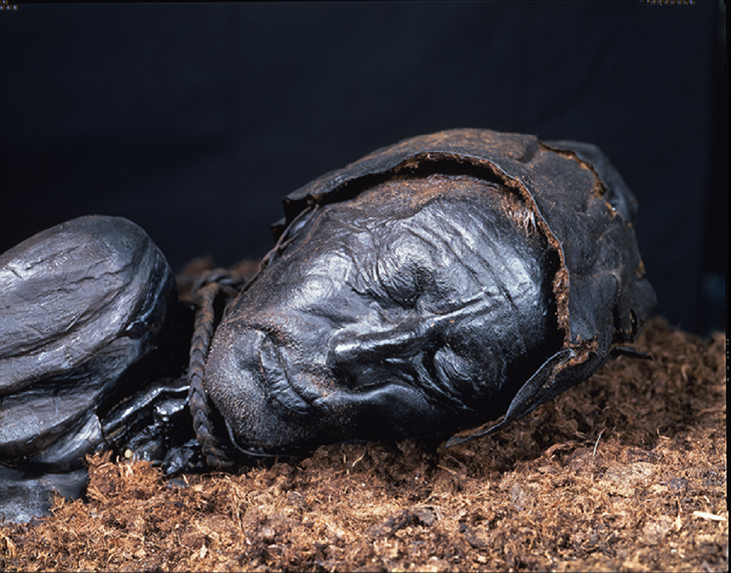 ডেনমার্কের স্লিকবর্গ মিউজিয়ামের এমনই একটি বগ বডি রয়েছে যার নাম টোলাডস্‌ ম্যান। এই মৃতদেহ ধর্মীয় অনুষ্ঠানে ফাঁসি দেওয়া কারও বলে অনুমান।