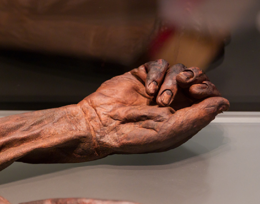 আয়ারল্যান্ডের ন্যাশনাল মিউজিয়ামে রাখা রয়েছে আরও একটি বগ বডি ওল্ডক্রঘান ম্যান। তার দেহের বৈশিষ্ট দেখে বোঝা যায় যে, ইনি ‘উচ্চবংশীয়’ ছিলেন।