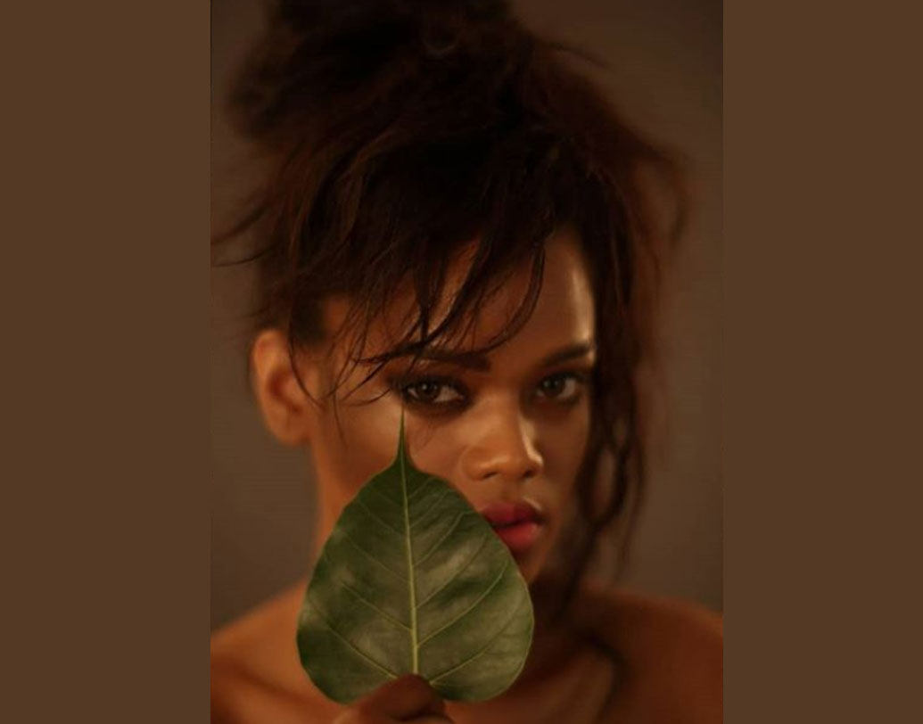 পেশাদার মডেল হওয়ার আগে টমি হিলফিগারের মতো নামী ব্র্যান্ডের সেলস স্টাফ হিসাবে কাজ করতেন রেনে। মডেলিং কেরিয়ারের শুরুটা হয়েছিল ২৮ বছর বয়সে। সে কেরিয়ায়ের শুরুর দিকেও গায়ের রঙের জন্য বৈষম্যের শিকার হয়েছেন রেনে।