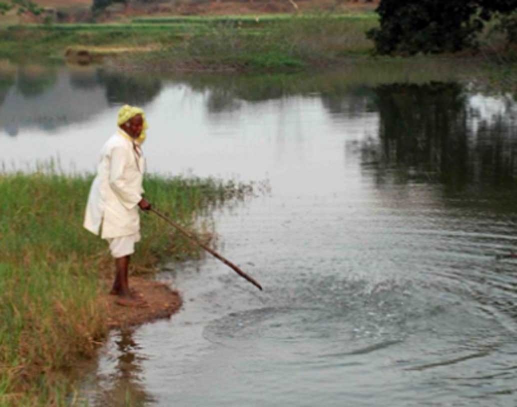 পুকুর, কুয়োর পাশাপাশি গ্রামে আজও প্রচুর বৃক্ষরোপণ করে চলেছেন তিনি। ১৯৬৪ সালে আশপাশের ৫১ গ্রামের বাসিন্দারা তাঁকে আদিবাসীদের রাজা মনোনীত করেন- পারহা রাজা। রাজা হয়েই তিনি গ্রামের চারপাশে জমিতে বৃক্ষরোপণ উৎসব চালু করেন। প্রতি বছর ওই জমিতে ১০০০ গাছ লাগানো হয়।