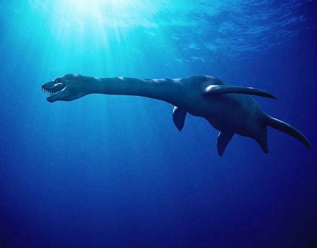 জীবাশ্মের প্রাণীটি ছিল ৪০ ফুট লম্বা এবং ১৫ টন ওজনের এবং প্রায় ৭০ হাজার বছরের পুরনো। জীবাশ্ম সন্ধানীরা প্রথমে এই বিশাল সামুদ্রিক জীবকে লক নেস মনস্টার বলে ভেবেছিলেন। যে প্রাণীর অস্তিত্ব আজ পর্যন্ত প্রমাণিত নয়।