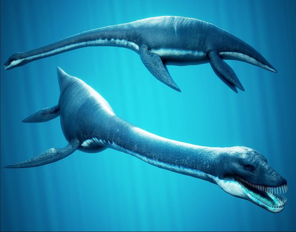 গবেষকদের দাবি, প্রাণীটি অ্যারিস্টোন্যাক্টস বংশের অন্তর্গত, যা অন্যান্য এলাসোসোসৌরের থেকে সামান্য আলাদা কারণ এদের গলা তুলনামূলক অনেক লম্বা। এই বিশাল গলার জন্যই একে লক নেস দানব বলে মনে করা হয়েছিল।