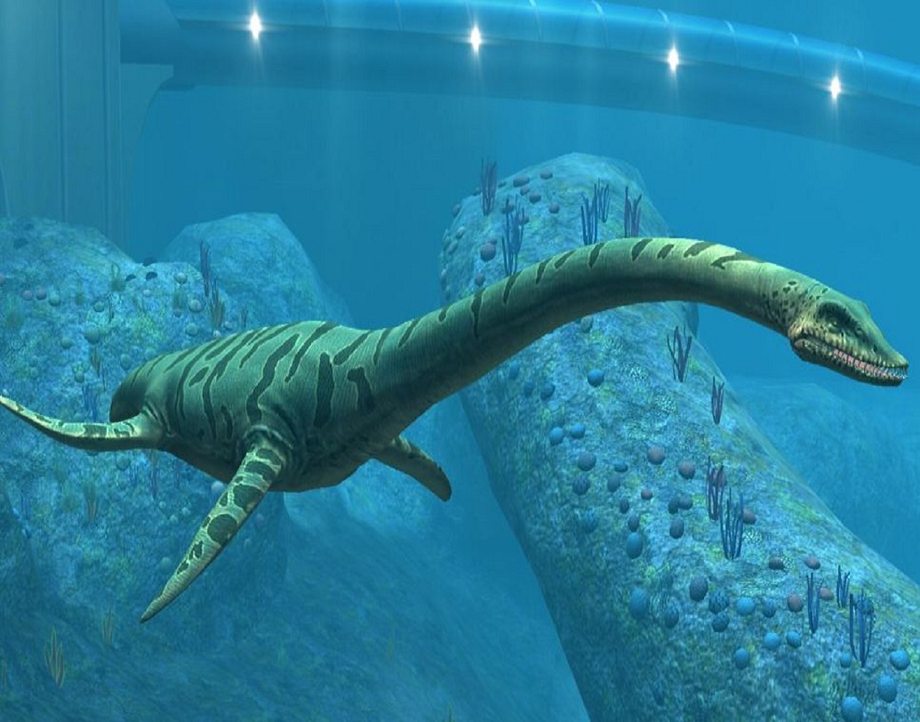 এলাসমসাউর হল প্লিজিওসৌরদের উপজাতি। এদের গলার পরিমাপ অসম্ভব লম্বা এবং এর সম্পূর্ণ উচ্চতা ২০ ফুট। বিশালাকৃতি এই প্রাণীগুলি জলে বসবাস করত এবং শ্বাস নেওয়ার জন্য জলের উপরে আসত।