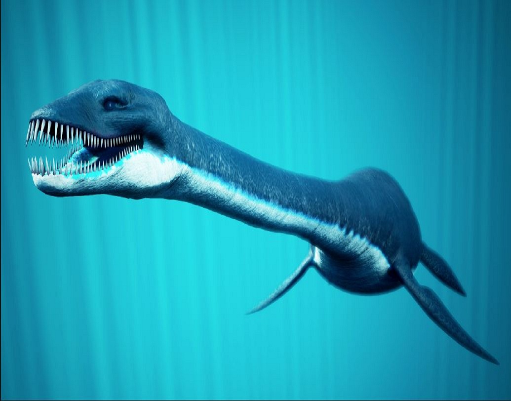 এই দীর্ঘ গলা বিশিষ্ট সামুদ্রিক জীবটি আদতে কী? তা নিয়ে অনেক জল্পনা ছিল। বিজ্ঞানীদের একাংশের দাবি ছিল, এরা নেসি প্রজাতির অন্তর্গত। আবার কেউ বলেছিলেন, এরা প্লিজিওসৌর। এমনকি এরা আদতেও এলসমোসোসরিডের অন্তর্গত ছিল কিনা তা নিয়েও ছিল জল্পনা।