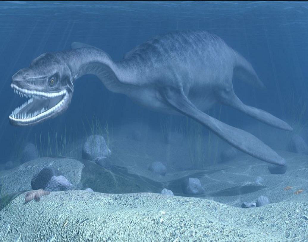 এই গবেষণার সঙ্গে যুক্ত গবেষক জস জর্মান ন্যাশনাল জিওগ্রাফিককে জানিয়েছেন যে,'অনেক বছর ধরে জানা অসম্ভব ছিল যে এই নতুন খুঁজে পাওয়া জীবাশ্মটি আদতে এলসমোসোসরির অন্তর্গত ছিল নাকি প্লিজিওসৌরদের অন্য কোনও উপজাতি ছিল।