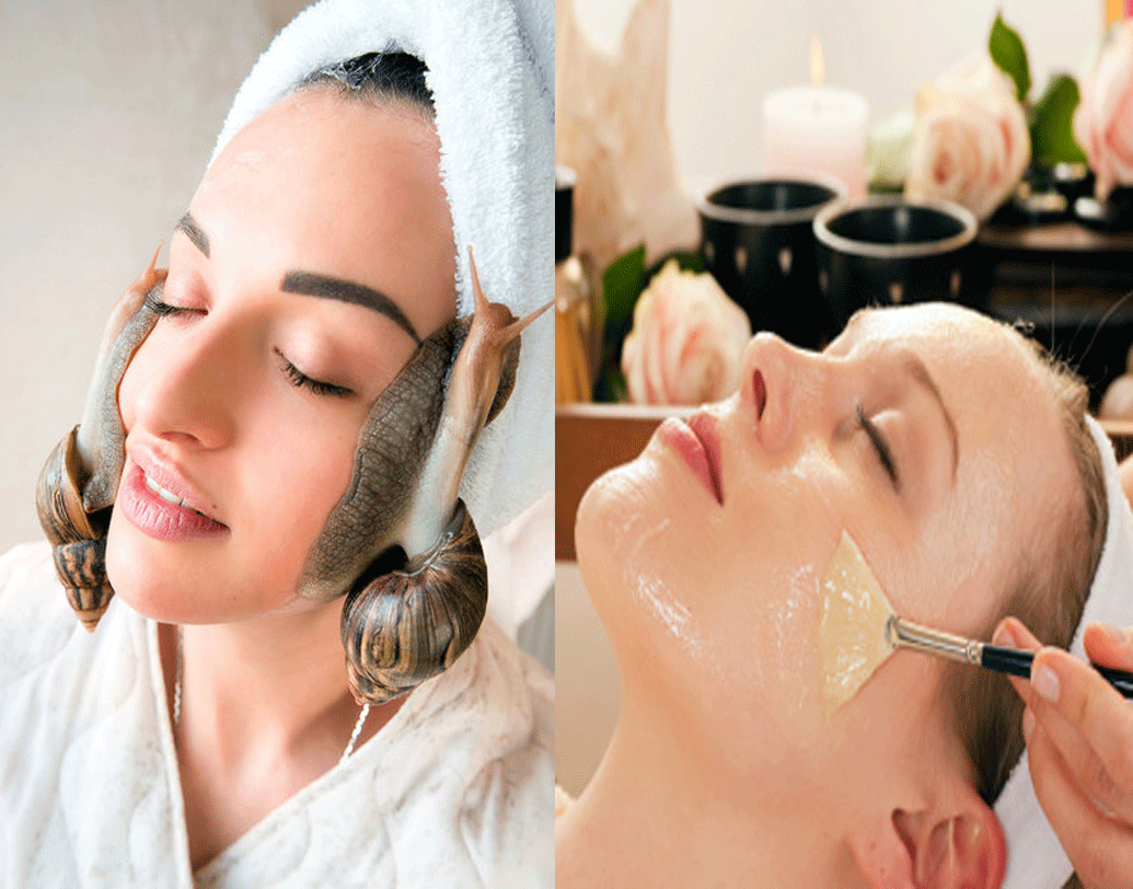 বাগানের ভিজে মাটির উপদ্রব বা ফরাসি কুইজিনের ডেলিকেসি শুধু নয়, শামুক এখন রূপচর্চার উপকরণ। শামুকের দেহ থেকে ক্ষরণ হওয়া চটচটে পদার্থ গুরুত্বপূর্ণ বায়োলজিক্যাল উপাদান। যা তৈলাক্ত ত্বক থেকে অ্যাকনে ও রিঙ্কল কমাতে সাহায্য করে। ফিরিয়ে আনে হারানো জেল্লা। বিদেশে কোনও কোনও স্পা তো এমন সুযোগও দেয়, যেখানে ত্বকের উপর ঘুরে বেড়ায় জীবন্ত শামুক। তাদের দেহ থেকে ক্ষরণ হওয়া মিউকাসের প্রলেপ পড়ে ত্বকে।