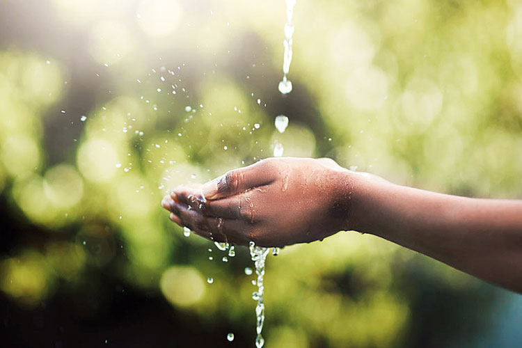 Water & Sanitation