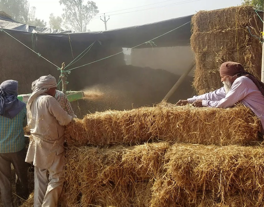 তবে খুব শীঘ্র এই সমস্যা থেকে রেহাই পেতে পারেন কৃষিজীবী মানুষরা। তাও আবার শুধুমাত্র কৃষিবর্জ্য বেচেই। অবিশ্বাস্য ঠেকলেও, এমনই এক উপায় বার করে ফেলেছেন পঞ্জাবের ভূমিপুত্র সুখমীত সিংহ।