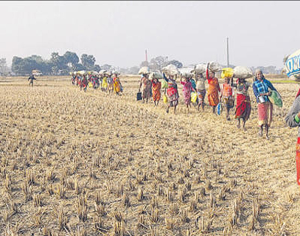 কিন্তু কর্পোরেট কালচারের বাইরে বেরিয়ে নিজের লোকেদের জন্য কিছু করতে চেয়েছিলেন সুখমীত। কৃষকদের কথাই প্রথমে মাথায় আসে তাঁর। ধান ও গম রফতানির তালিকায় বিশ্বের অন্যতম প্রধান দেশ ভারত। কিন্তু উপযুক্ত শিক্ষা ও প্রশিক্ষণের অভাবে এই কৃষিকাজই কাল হয়ে দাঁড়িয়েছে কোথাও কোথাও।