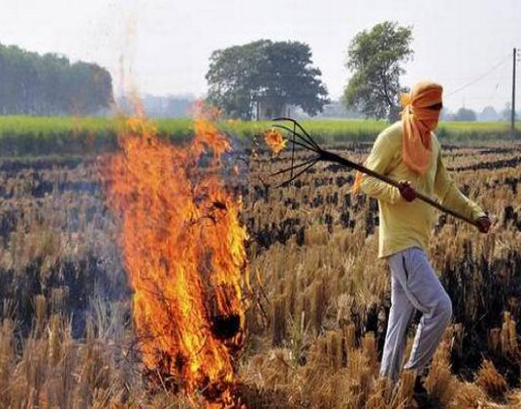 চারা রোপণ থেকে ফসল কাটা— এই পর্যন্ত ঠিকঠাক চললেও, তার পরেই সমস্যা দেখা দেয় বেশির ভাগ ক্ষেত্রে। ফসল কাটার পর জমিতে পড়ে থাকা খড়কুটো, ফসলের অবশিষ্টাংশ তথা বর্জ্য নিয়ে বিপাকে পড়েন কৃষকরা। একবারে ঝামেলা মেটাতে অনেকে তাই কৃষিবর্জ্যে আগুন ধরিয়ে দেন, যাতে আলাদা করে লোক লাগিয়ে জমি সাফ করতে না হয়।