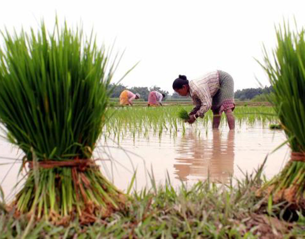 এই কাজের জন্য চাইলে বিনামূল্যেই কৃষকদের কাছ থেকে কৃষিবর্জ্য জোগাড় করতে পারতেন সুখমীত সিংহ। কিন্তু তা করেননি তিনি। বরং গবেষণা সারার পর ২০১৮ সালের মার্চ মাসে নিজের সংস্থা এ২পি (এগ্রি টু পাওয়ার) এনার্জি সলিউশন প্রাইভেট লিমিটেডের প্রতিষ্ঠা করেন।
