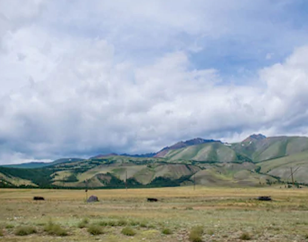 ভয়ঙ্কর সেই যোদ্ধা জাতির পূর্বসূরি ছিল ওই শিশু?  যার জীবন দেড় হাজার বছর আগে ঝরে গিয়েছিল কুঁড়িতেই। অনুমান গবেষক ও ঐতিহাসিকদের। প্রামাণ্য তথ্য পাওয়ার জন্য ডিএনএ অ্যানালিসিস ছাড়া গতি নেই। বিজ্ঞানীরা জানিয়েছেন, ডিএনএ পর্যালোচনা করে তাঁরা জানতে চান মমি হয়ে যাওয়া শিশুর জন্মপরিচয়। পাশাপাশি খতিয়ে দেখতে চান সাইবেরিয়া-সহ মধ্য এশিয়ার বিভিন্ন প্রান্তে যাযাবর জনজাতিদের তখন কী রকম মাইগ্রেশন চলছিল।              ছবি : শাটারস্টক