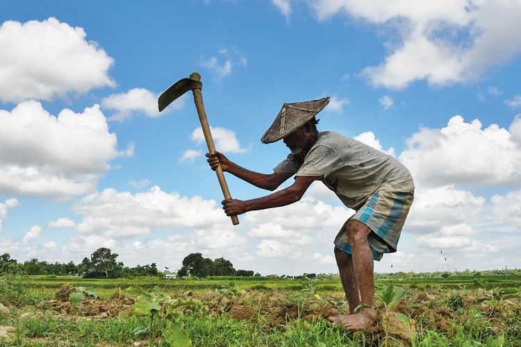 প্রতীকী ছবি।