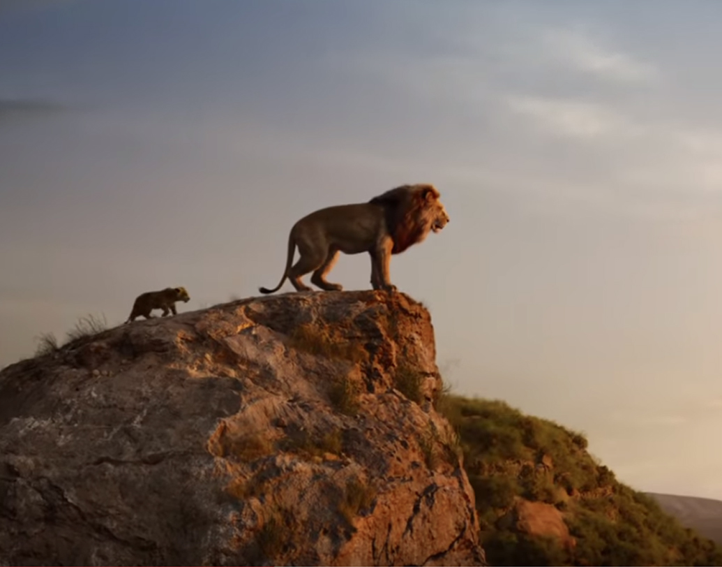 বাকি দেশে তো বটেই। নিজের দেশেও দুর্দান্ত সিম্বার মার্কশিট। আমেরিকায় জুলাই মাসে বাকি ছবিগুলিকে অনেক পিছনে ফেলে এগিয়ে গিয়েছে মুফাসা-সিম্বা-সরাবির পরিবার।
