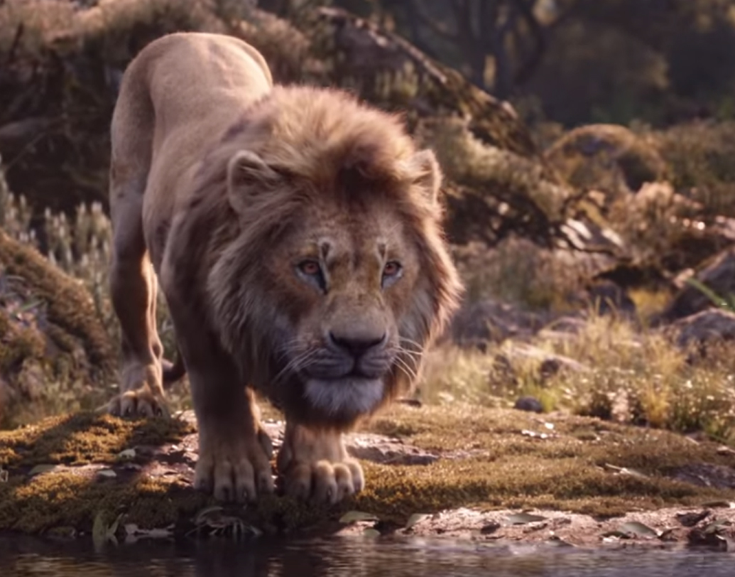 এখনও জাপান, হংকং, ইতালি থেকে ‘লায়ন কিং’-এর বক্স অফিস রিপোর্ট সম্পূর্ণ আসেনি। আসার পরে অনুমান করা হচ্ছে ৯০০ মিলিয়ন মার্কিন ডলার ছাড়িয়ে যাবে এর ব্যবসা।