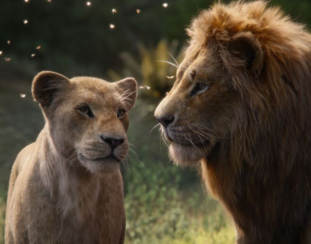 চিনের বক্স অফিসে গত সপ্তাহে লায়ন কিং সে ভাবে বড় ইনিংস খেলতে পারেনি। তাকে শক্ত প্রতিদ্বন্দ্বিতার মুখে পড়তে হয়েছিল ‘লুকিং আপ’ আর ‘নে ঝা’-র কাছে। তবে ইঙ্গিত দেখে বোঝা যাচ্ছে, চিনের বাজারেও মোটা মুনাফাই করতে চলেছে সিম্বা।