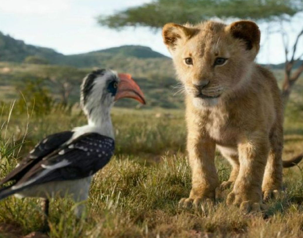 জনপ্রিয়তা ও প্রাথমিক ব্যবসার নিরিখে সাম্প্রতিক অতীতের ‘দ্য জাঙ্গল বুক’, ‘বিউটি অ্যান্ড দ্য বিস্ট’, ‘আলাদিন’-কেও ছাপিয়ে গিয়েছে ‘দ্য লায়ন কিং’। রাশিয়া, ব্রাজিল, মেক্সিকো, অস্ট্রেলিয়া ও লাতিন আমেরিকাতেও সিম্বার পারফরম্যান্স তাক লাগানো।