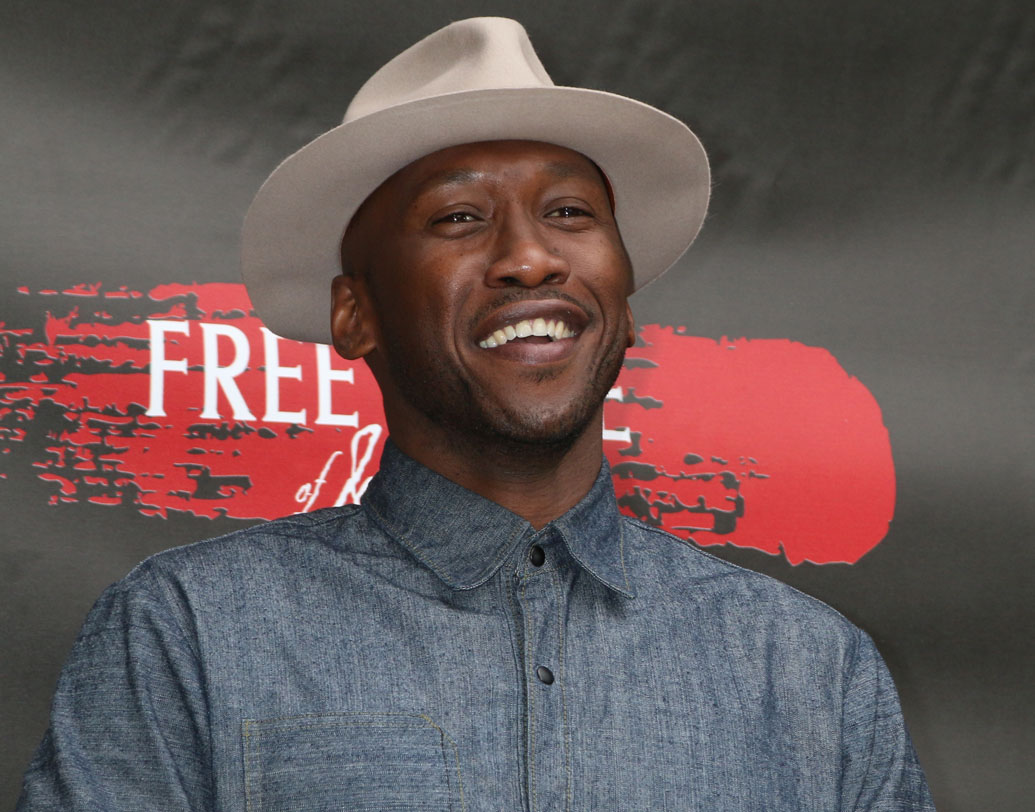 ‘ব্লেড’ সিরিজটিতে মেহেরশালা আলি-কে দেখা যাবে। তবে ব্লেড, ব্ল্যাক প্যানথার ২, ফ্যান্টাস্টিক ফোর এবং গার্ডিয়ান অফ গ্যালাক্সি ভলিউম ৩ কবে রিলিজ করবে তা সঠিক ভাবে জানায়নি মারভেল।