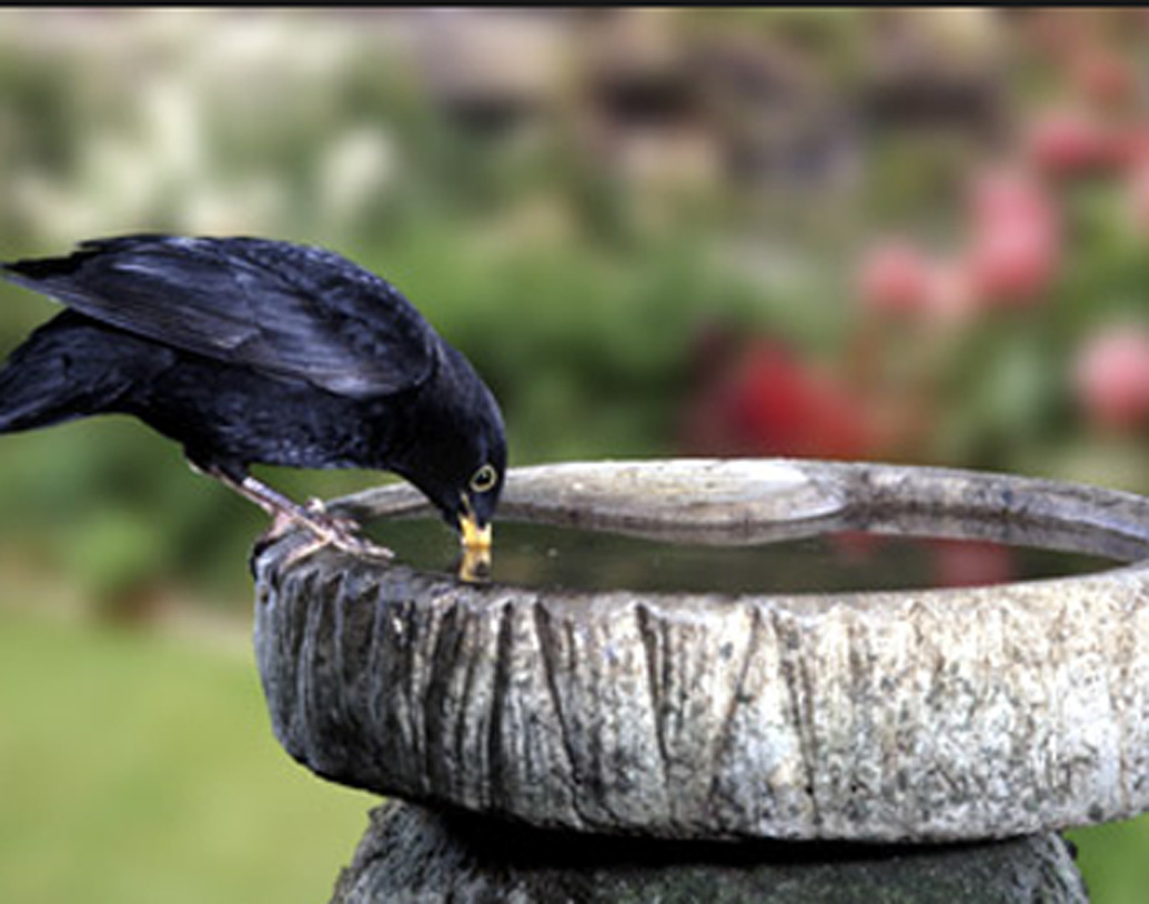 এই মরু-রাজ্যে জলের উৎস মূলত দুটো। সামুদ্রিক জল এবং ভূগর্ভস্থ জল। কিন্তু ভূগর্ভস্থ জলের লবনের পরিমাণ সামুদ্রিক জলের থেকেও অনেক বেশি এখানে। ফলে মূলত সামুদ্রিক জলকে পরিস্রুত করে পানীয় জল হিসাবে ব্যবহার করা হয়। যা খুবই ব্যয়বহুল।f