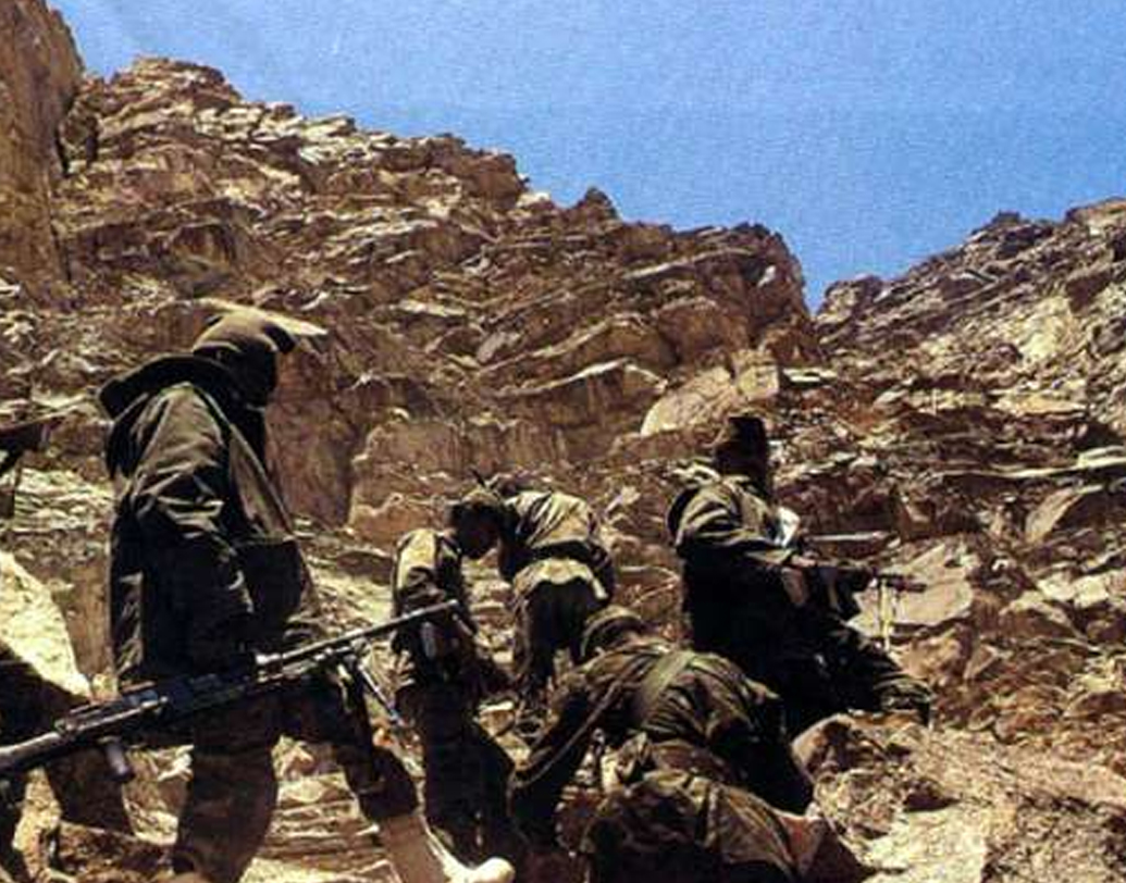 টাইগার হিল পুর্নদখলের অভিযানে মোট চার জন পাকিস্তানিকে হত্যা করেছিলেন বলে জানিয়েছেন সতপাল সিংহ। নিহতদের মধ্যে ছিলেন ক্যাপ্টেন কারনাল শের খান, তাঁর রেডিও অপারেটর এবং দুই জওয়ান।