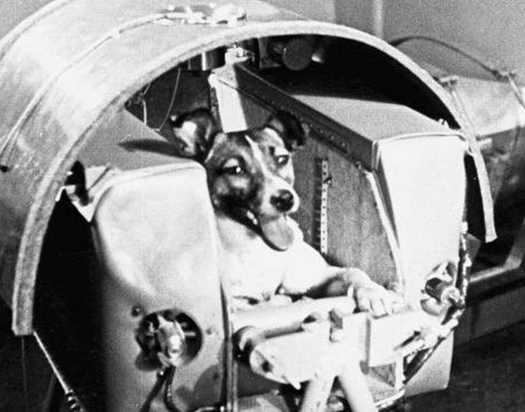 খেতে দেওয়া হত এক রকমের বিশেষ পুষ্টিকর জেল। যা ছিল মহাকাশযানে তাদের একমাত্র খাবার। কৃত্রিম ভাবে তৈরি করা হত অত্যন্ত তীব্র শব্দ। সে ভাবে অভ্যস্ত করা হচ্ছিল মহাকাশযাত্রার জন্য। তাদের হৃদস্পন্দন, রক্তচাপ ও শ্বাস প্রশ্বাস নিয়মিত পর্যবেক্ষণ করা হত।