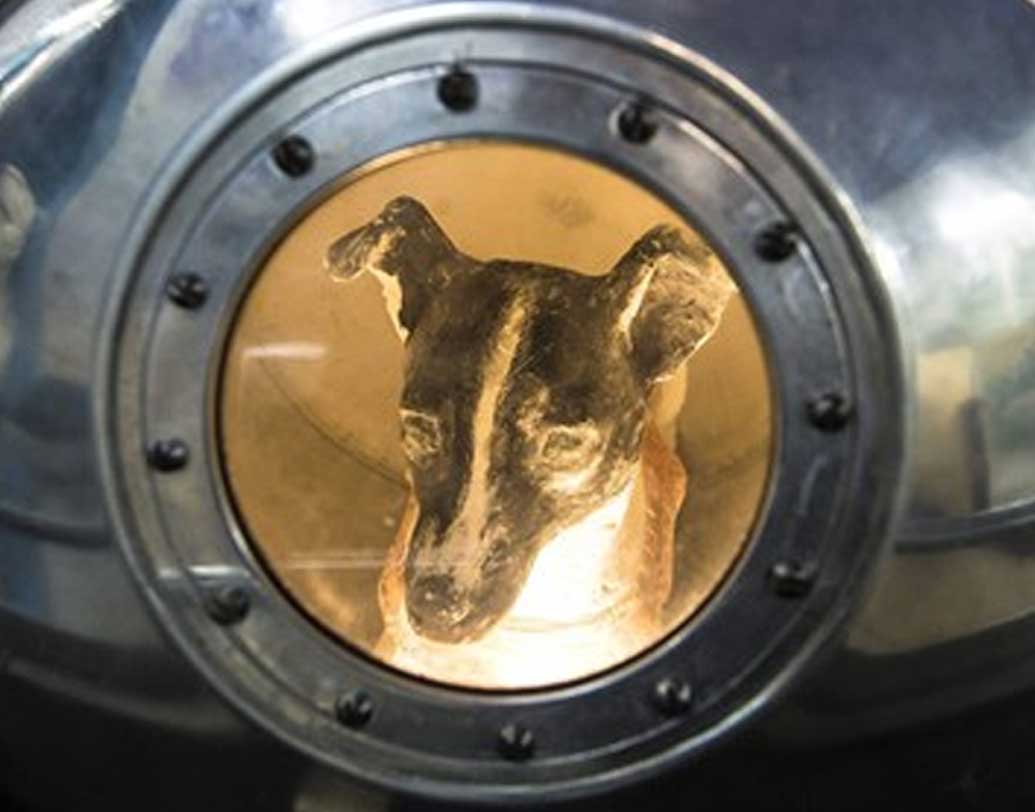 শোনা যায়, প্রজেক্টের সঙ্গে জড়িতে সবাই জানতেন লাইকা আর ফিরবে না। কারণ ডি-অরবিট প্রযুক্তি তখনও আবিষ্কারই হয়নি। কিন্তু এই তথ্য বাইরে আনা হয়নি। মাহাকাশযাত্রার আগের দিন লাইকাকে বাড়িতে নিয়ে গিয়েছিলেন এক বিজ্ঞানী। তাঁর সন্তানরা খেলেছিল লাইকার সঙ্গে। বিজ্ঞানী চেয়েছিলেন, যাতে মৃত্যুর আগে একদিন অন্তত ভাল থাকতে পারে লাইকা।