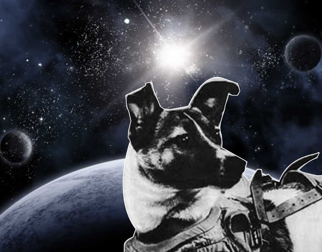 ১৯৫৭-র ৩১ অক্টোবর মহাকাশযান স্পুটনিক-২-এ রাখা হয় লাইকা-কে। ৩ নভেম্বর পৃথিবী সাক্ষী থাকে স্পুটনিক-২-এর লঞ্চের। একই সঙ্গে শেষ বিদায় জানানো হয় লাইকা-কে। শেষ মুহূর্তে তার হৃদস্পন্দন পৌঁছে গিয়েছিল ২৪০/মিনিটে। মহাকাশযাত্রার আগে তার হৃদস্পন্দন ছিল ১০৩/মিনিট। শ্বাসপ্রশ্বাসের হারও বেড়ে গিয়েছিল অস্বাভাবিক হারে। তবে নিরীহ লাইকা-র মৃত্যুর মূল কারণ ছিল আতঙ্ক।