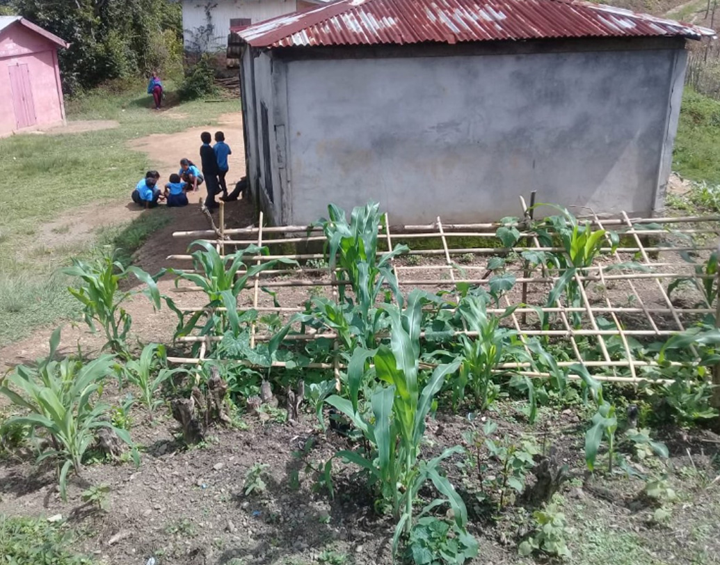 চলতি বছরেই এই জেলায় বদলি হয়ে আসেন ২০১৪ ব্যাচের আইএএস অফিসার শশাঙ্ক আলা। তিনি এ সব দেখে অত্যন্ত ভেঙে পড়েন। ঠিক করেন, গ্রামেই ফসল ফলাবেন। গ্রাম থেকে অপুষ্টি দূর করবেন। তার জন্য বেছে নেন স্কুলগুলোকে। সমস্ত স্কুলে তিনি ‘মাই স্কুল, মাই ফার্ম’ প্রকল্প চালু করেন। কী এই প্রকল্প?